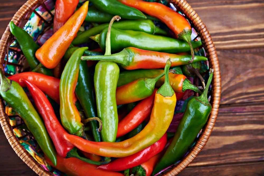 Peppers (hot),      fish peppers