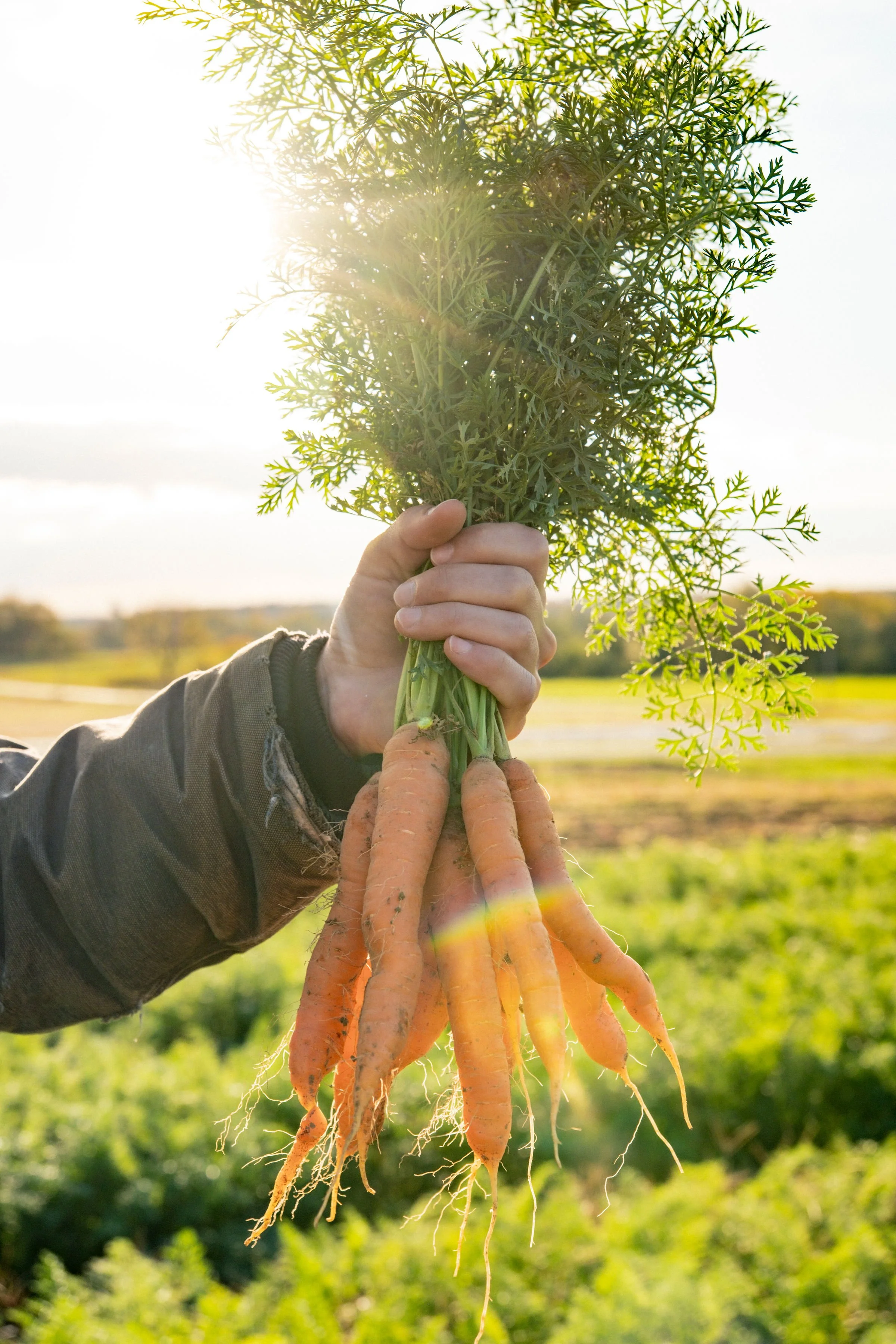 Get Creative with Winter Veg!