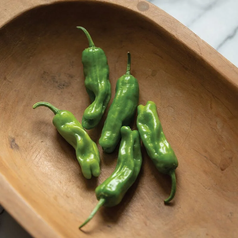 Peppers (sweet), shishito