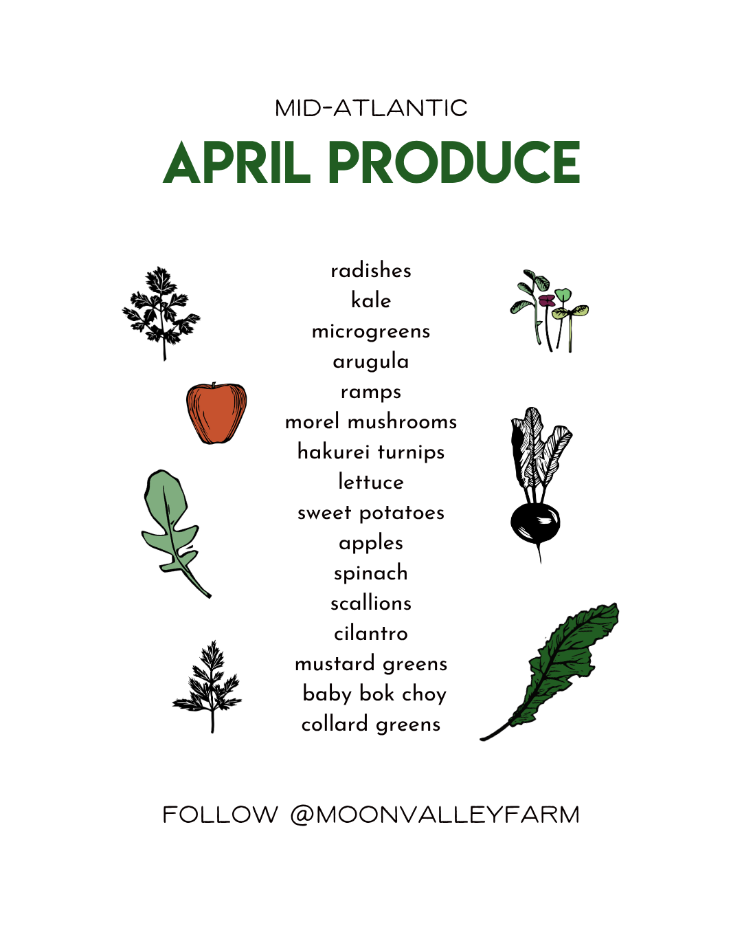 April Seasonal Produce Guide