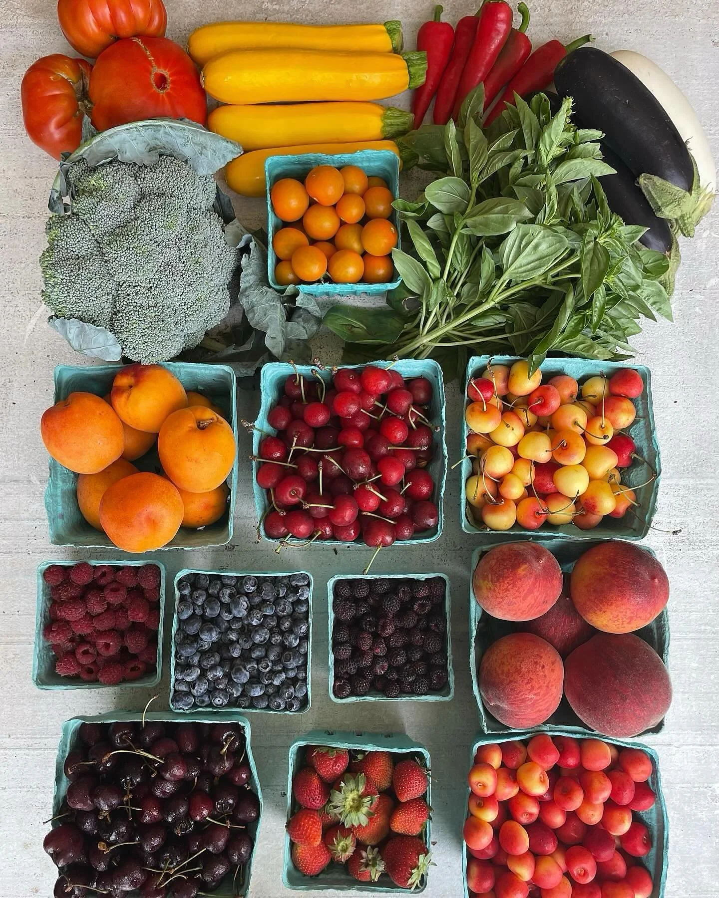 Practical Tips for Being a CSA Member in the Summer
