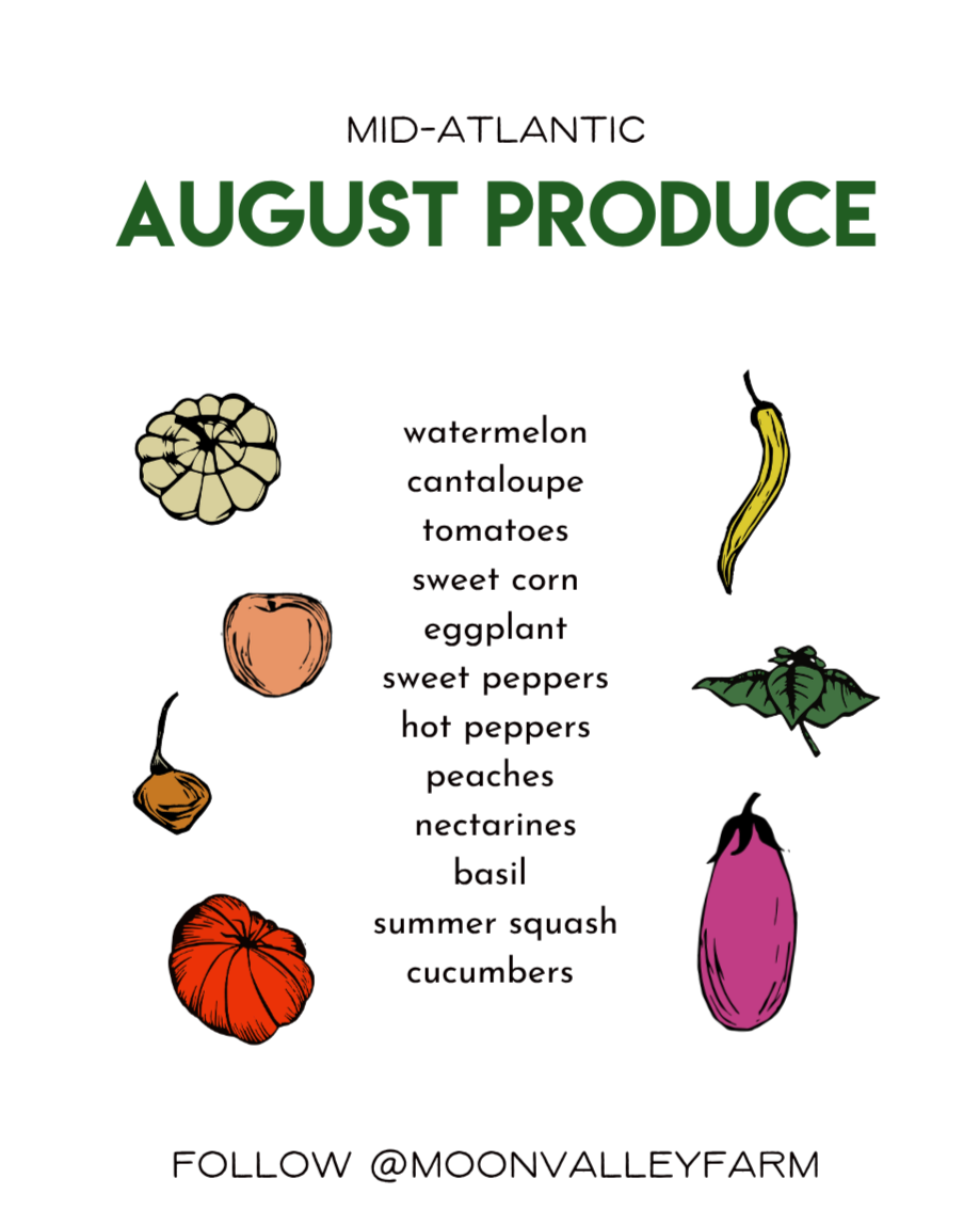 August Seasonal Produce Guide