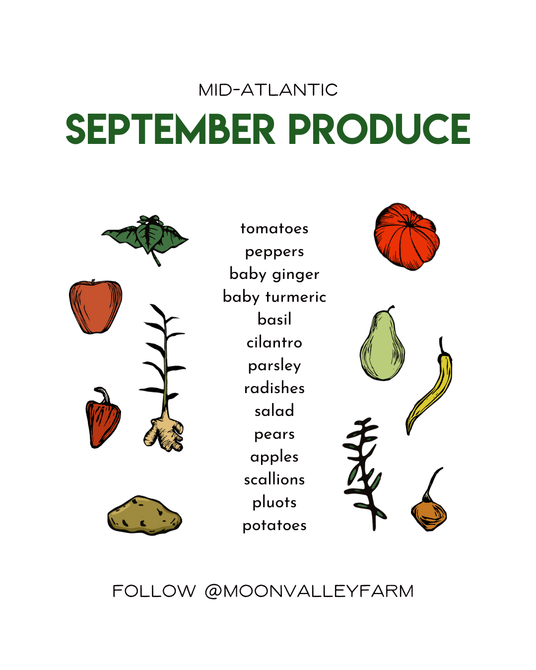 Your September Produce Guide