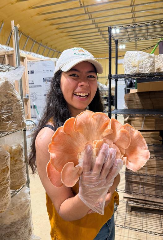 Meet Our Partners: Manchester Mushroom Farm!