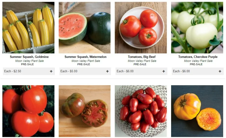 CSA — Moon Valley Farm