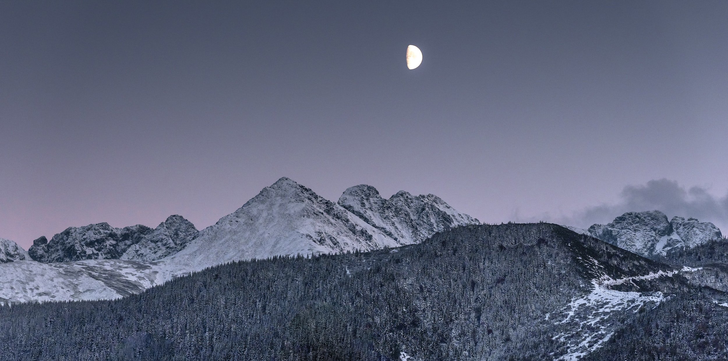 MF Øisang på slipp