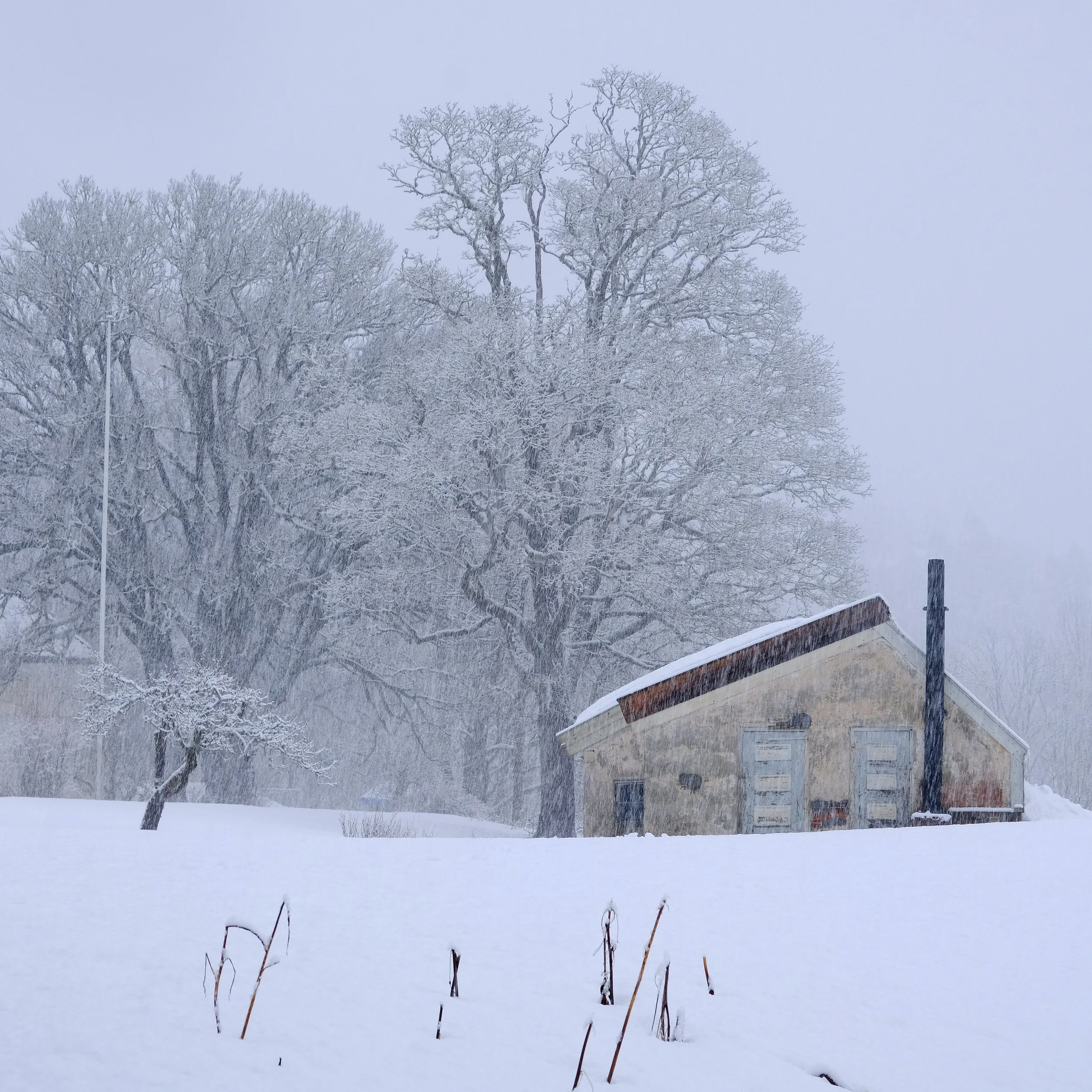 Nes Verk, Tvedestrand