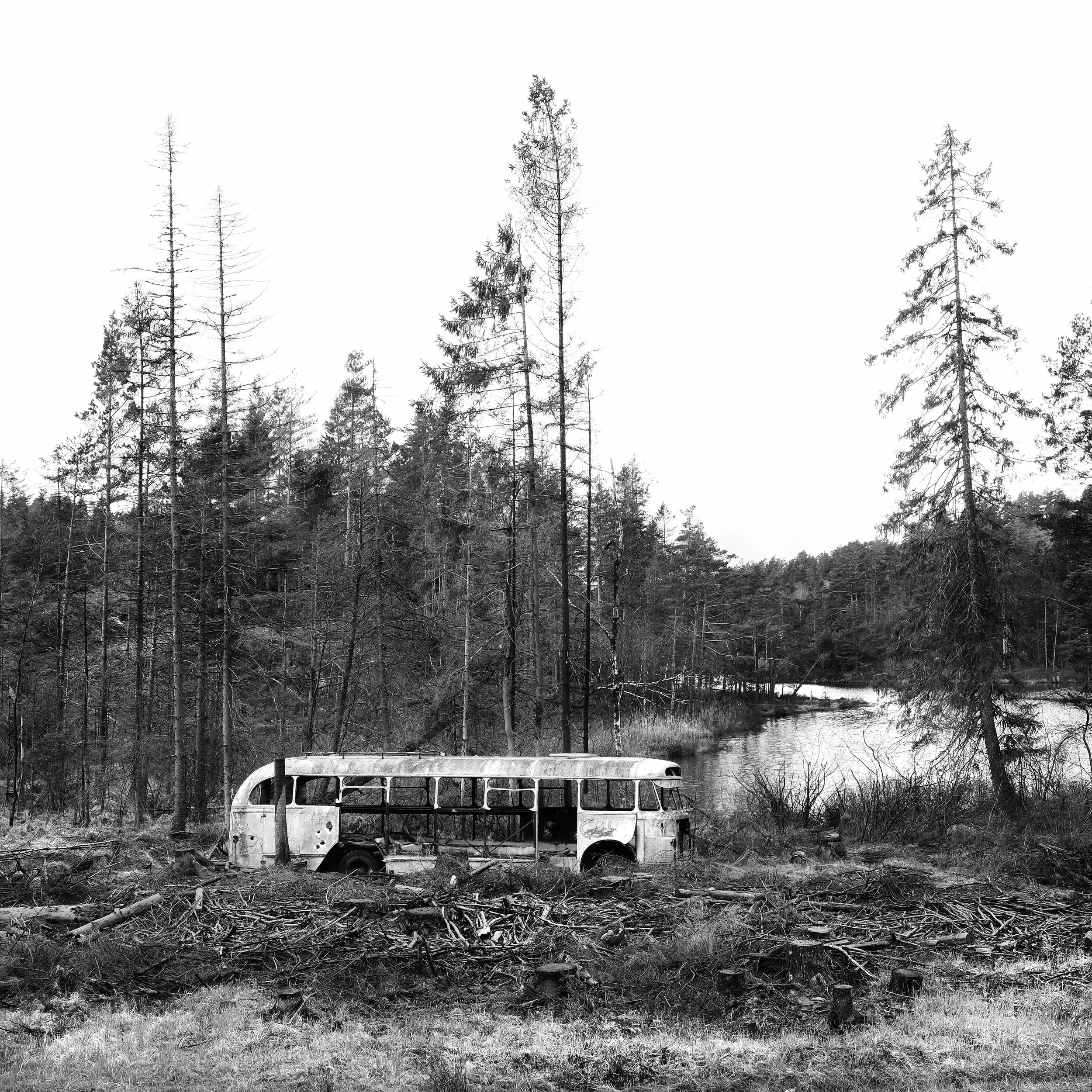 Skogsbussen, Gjeving