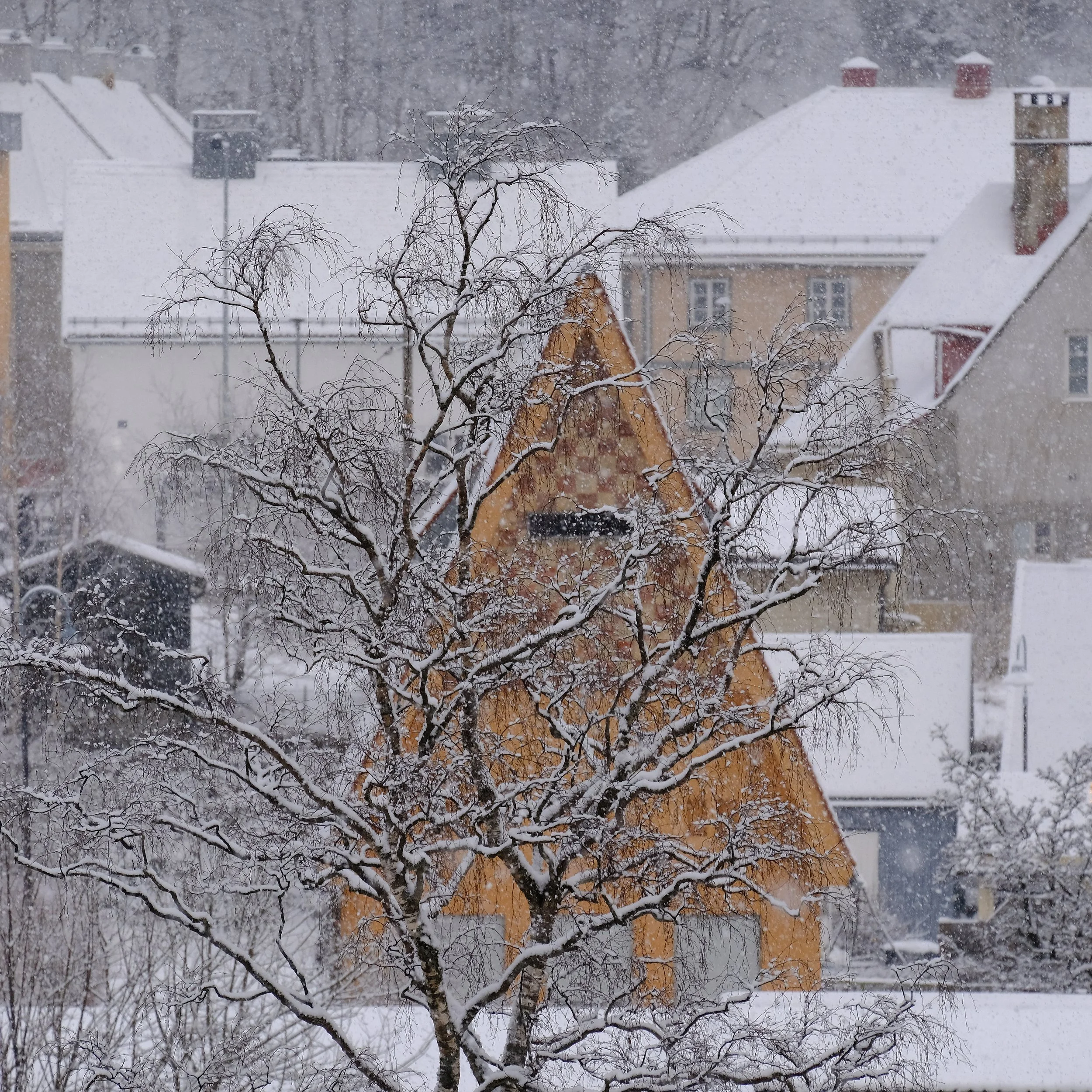 Tyskerbyen, Company Town