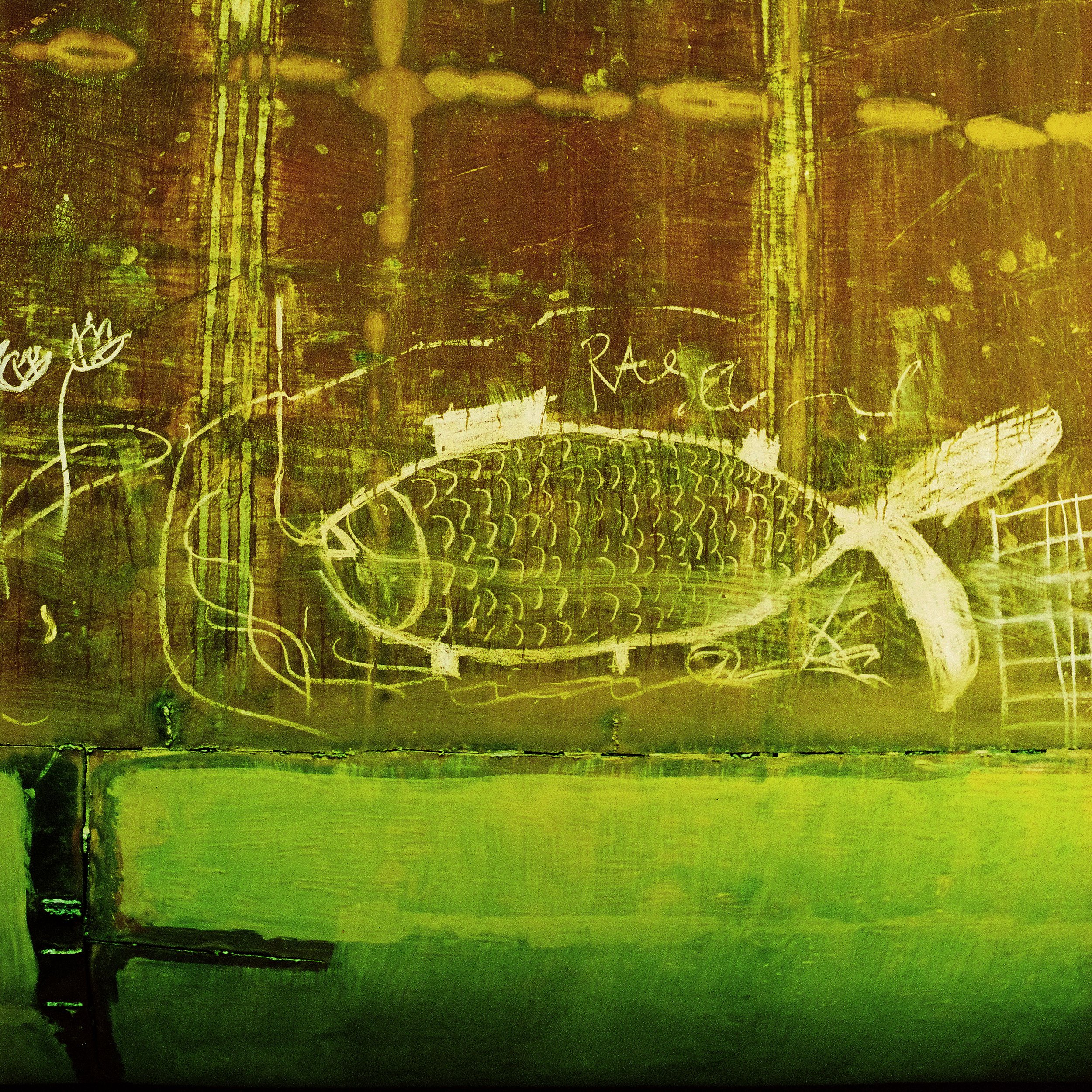 Toxic Fish, Chittagong