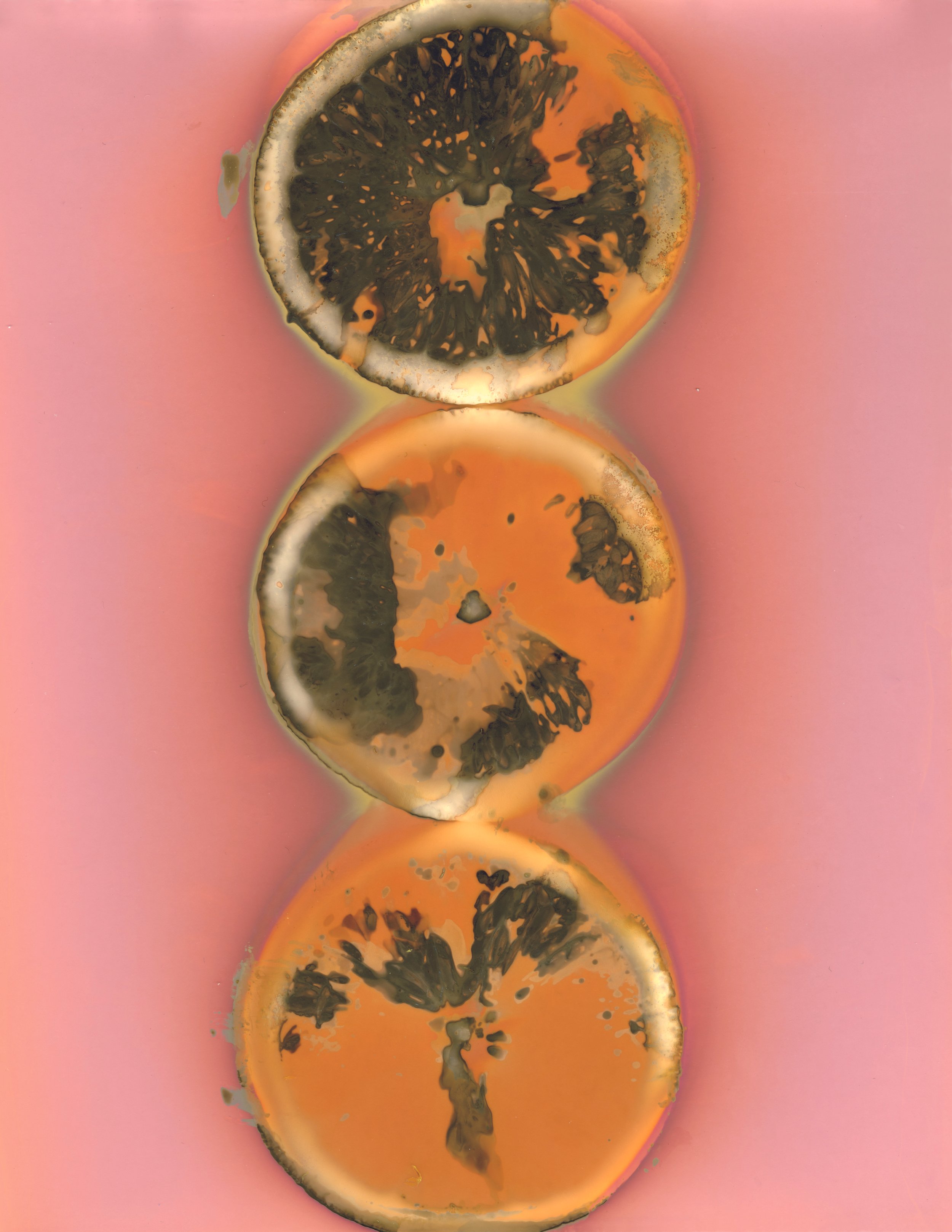 KALEIDOSCOPE EYES II  ,2022, lumen print