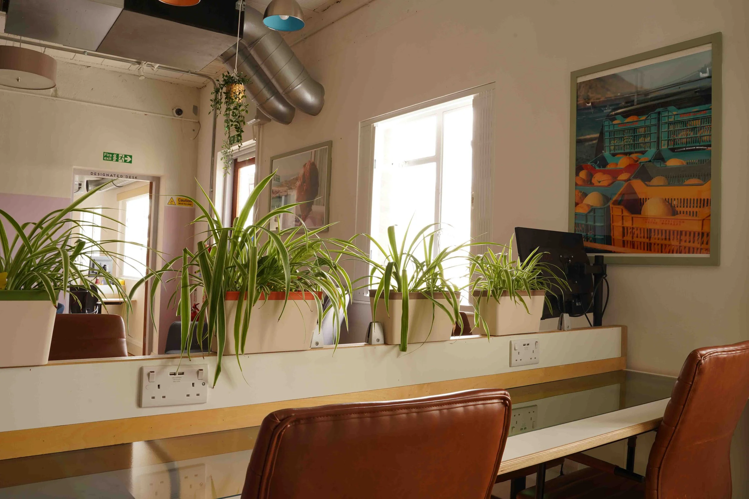 Row of fixed desks with plants and leather chairs at Bespoke Spaces, North London