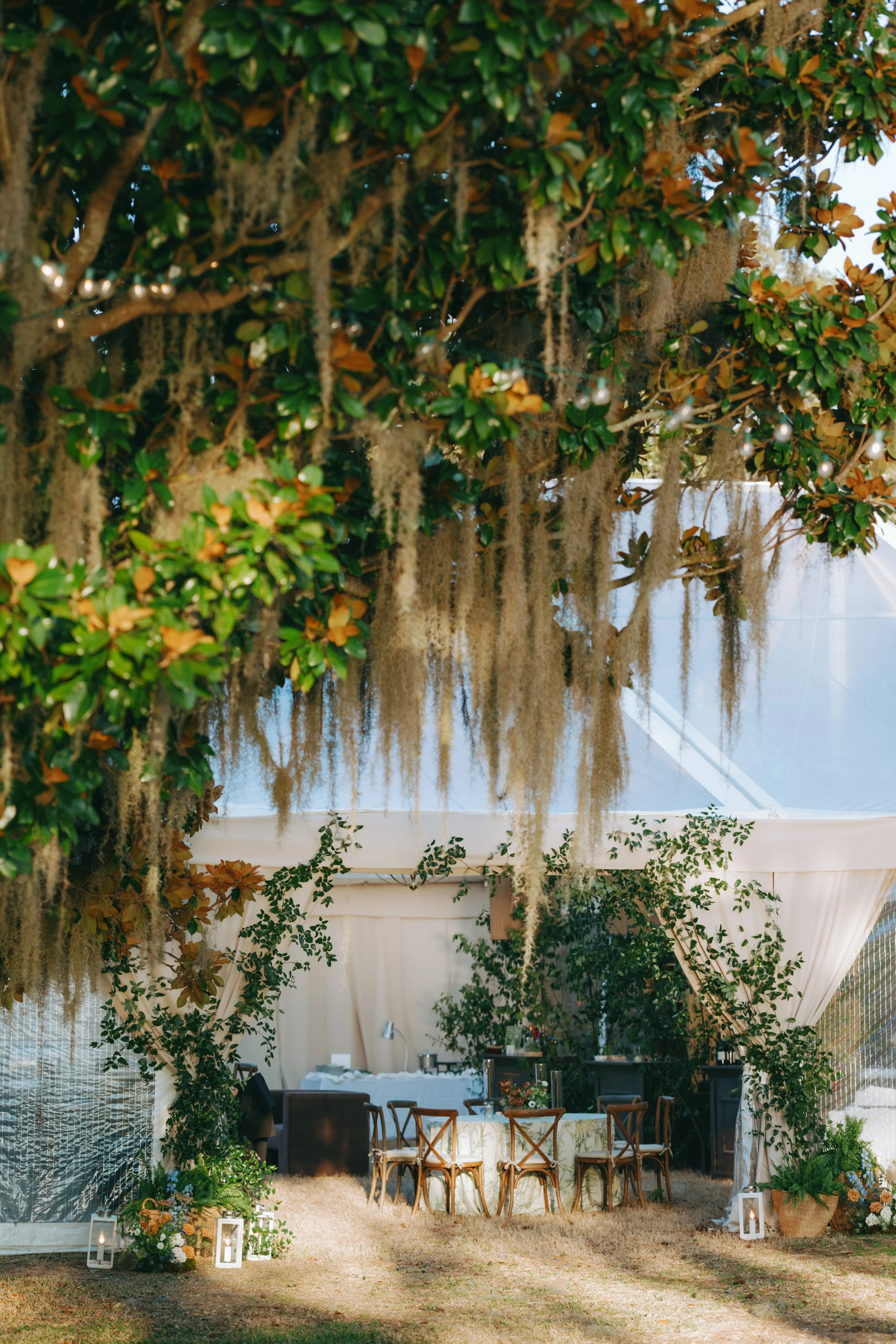 lindsaymarie.savannahphotographer-4424.jpg