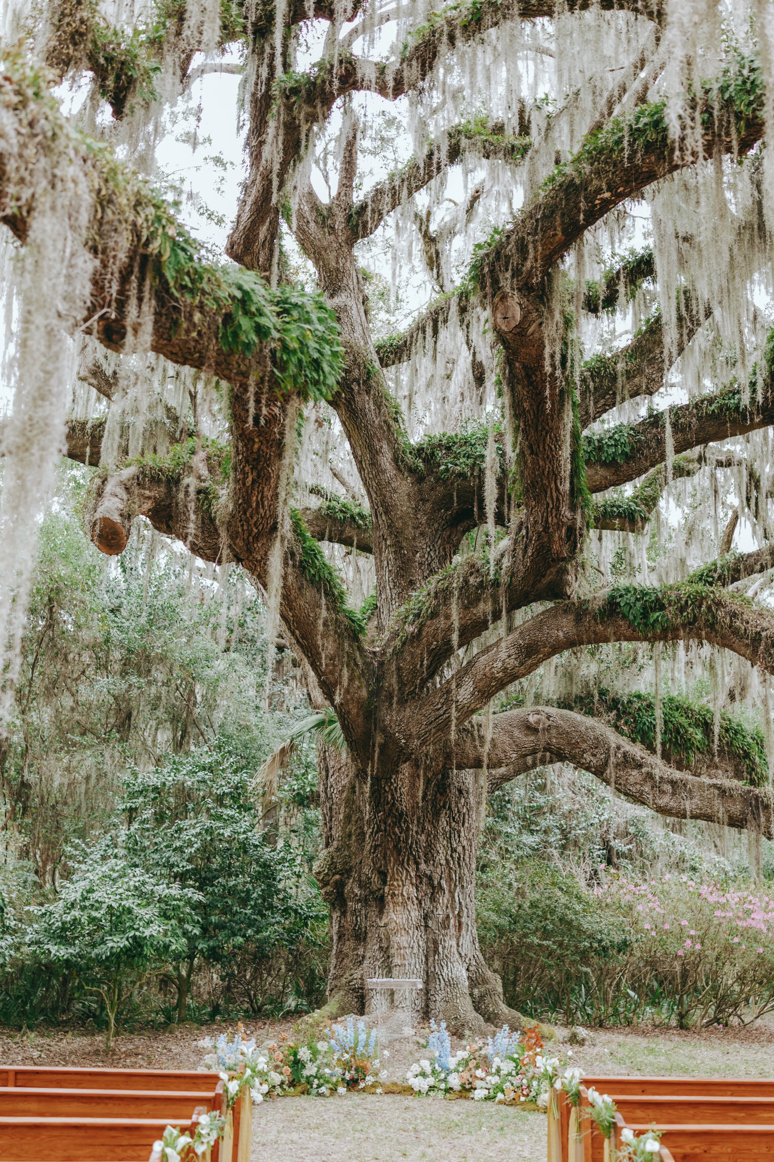 lindsaymarie.savannahphotographer-3375.jpg