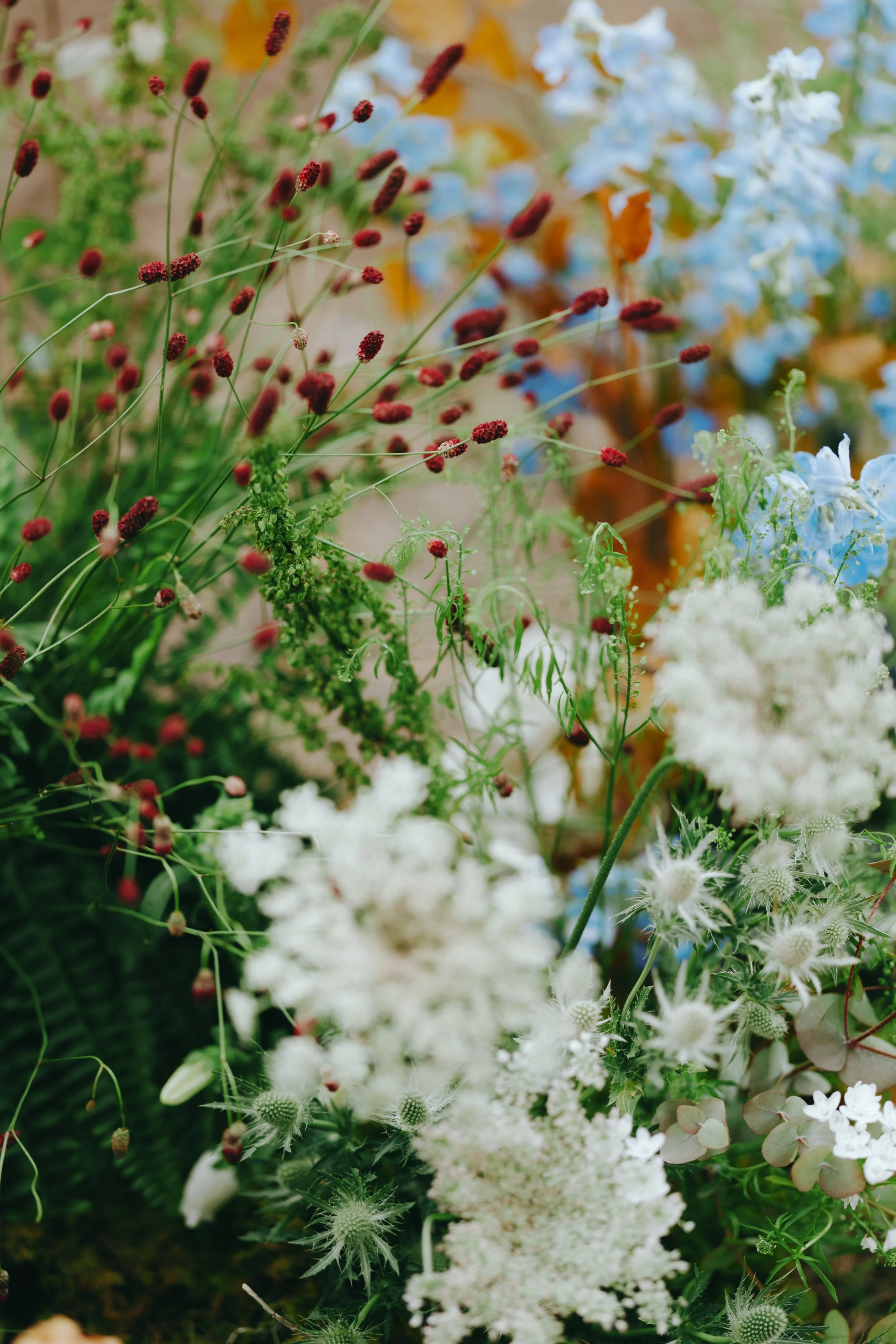 lindsaymarie.savannahphotographer-3913.jpg