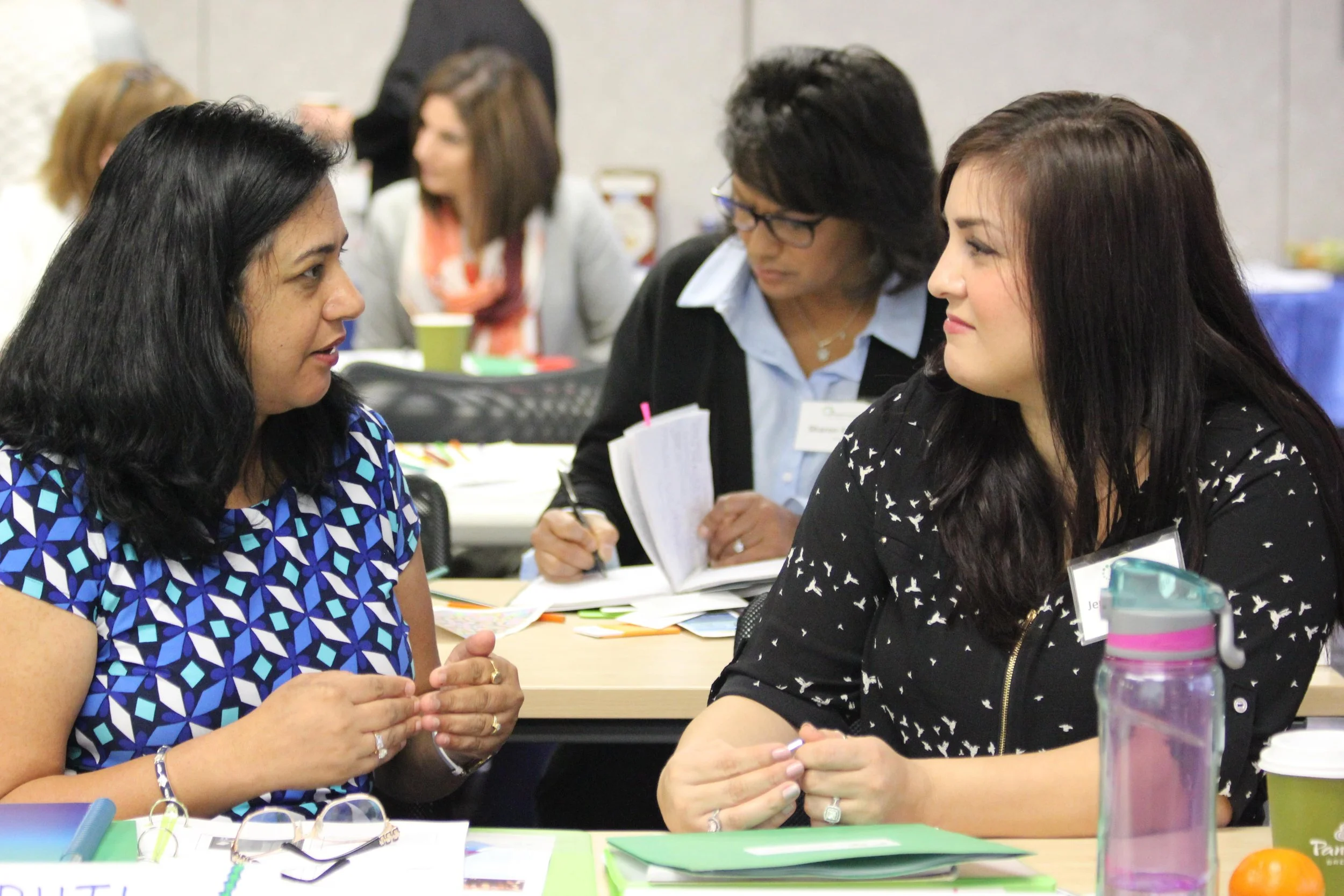 Our Programs — WLE