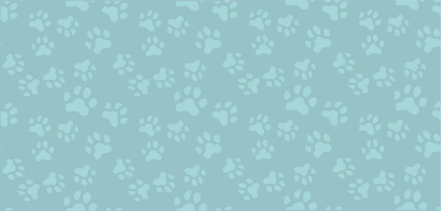comforts-of-home-pet-sitting-central-florida-complete-critter-care