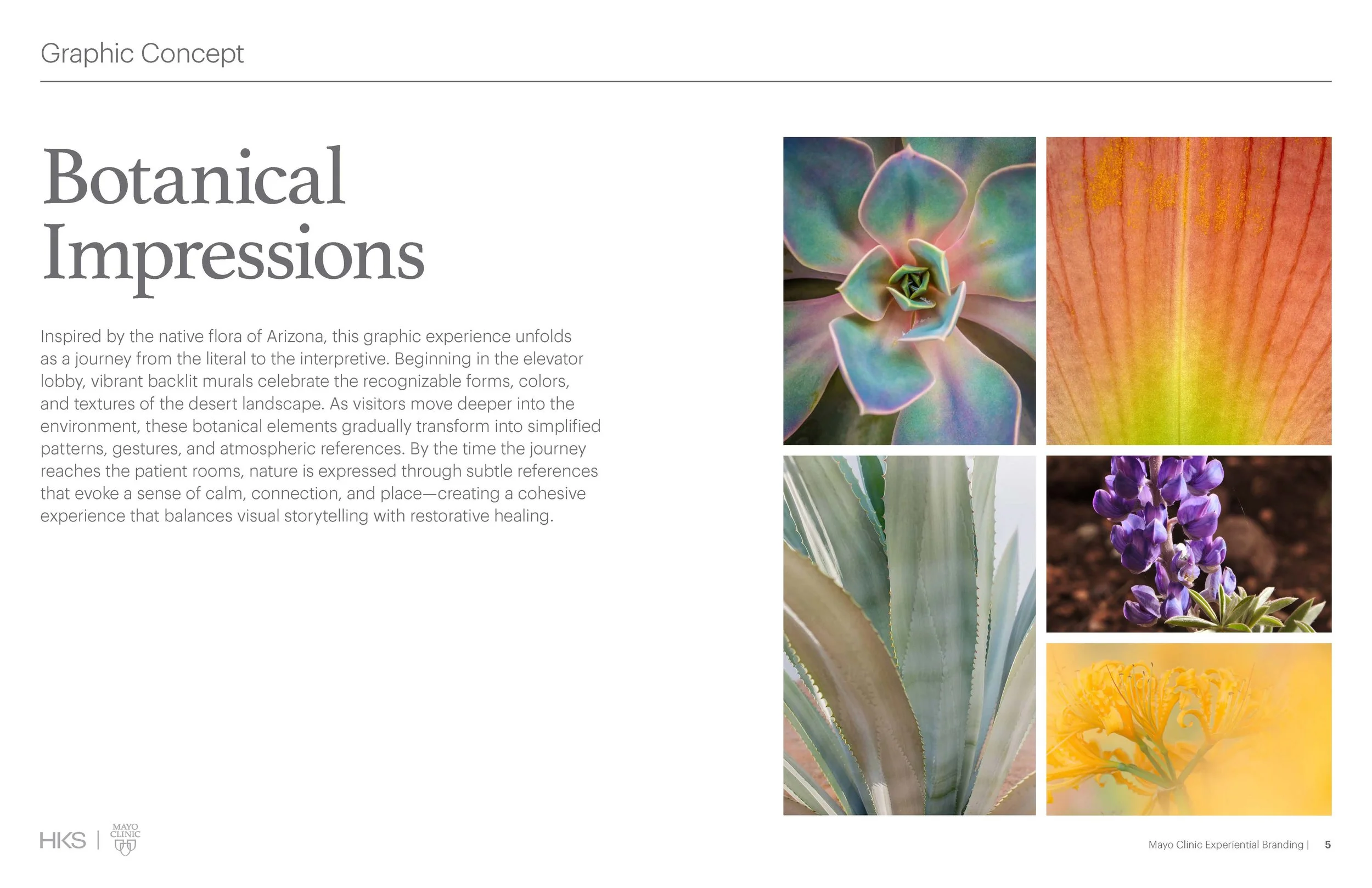260608_Mayo Clinic_Brand Graphics_Page_05.jpg