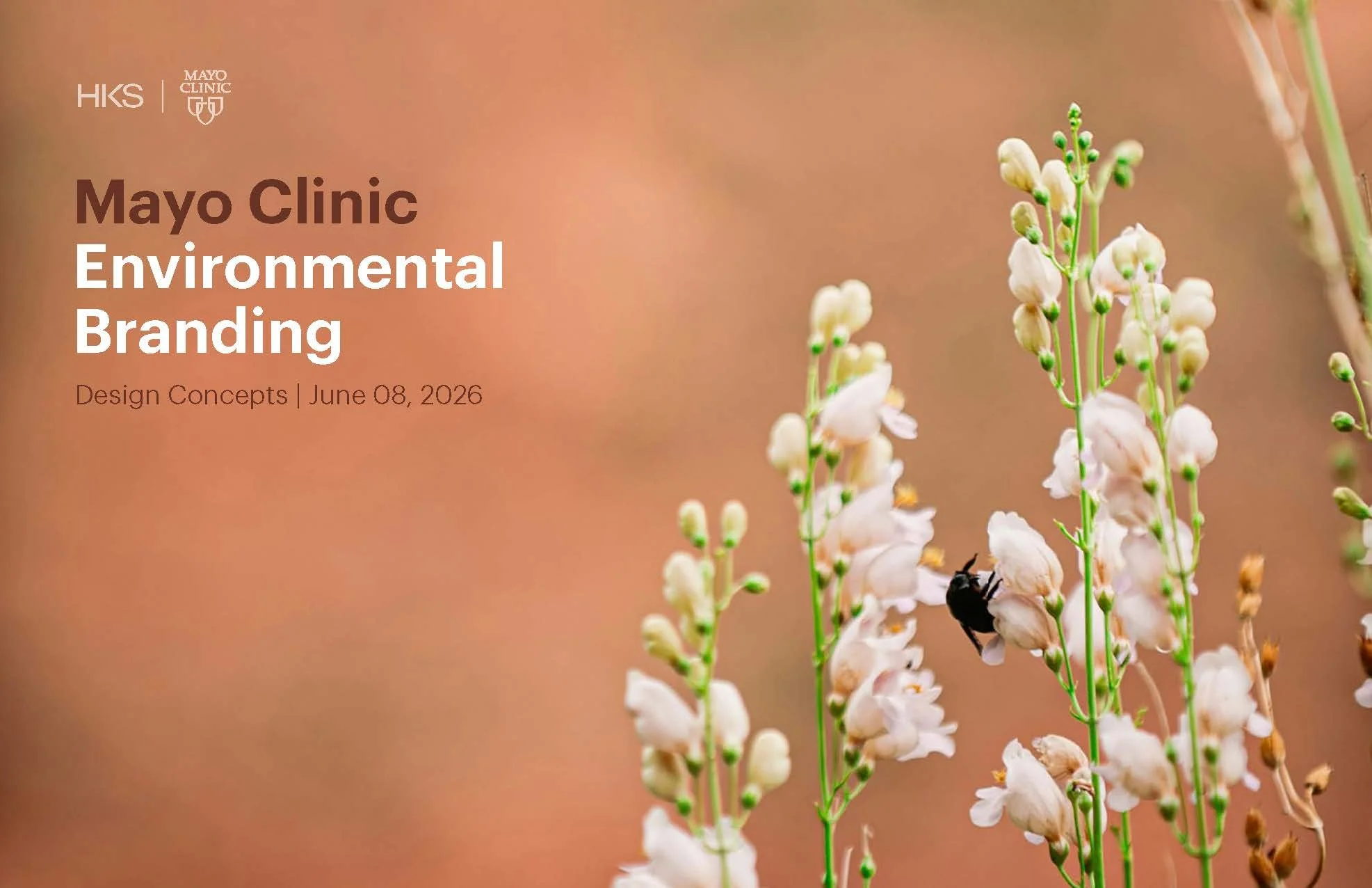 260608_Mayo Clinic_Brand Graphics_Page_01.jpg