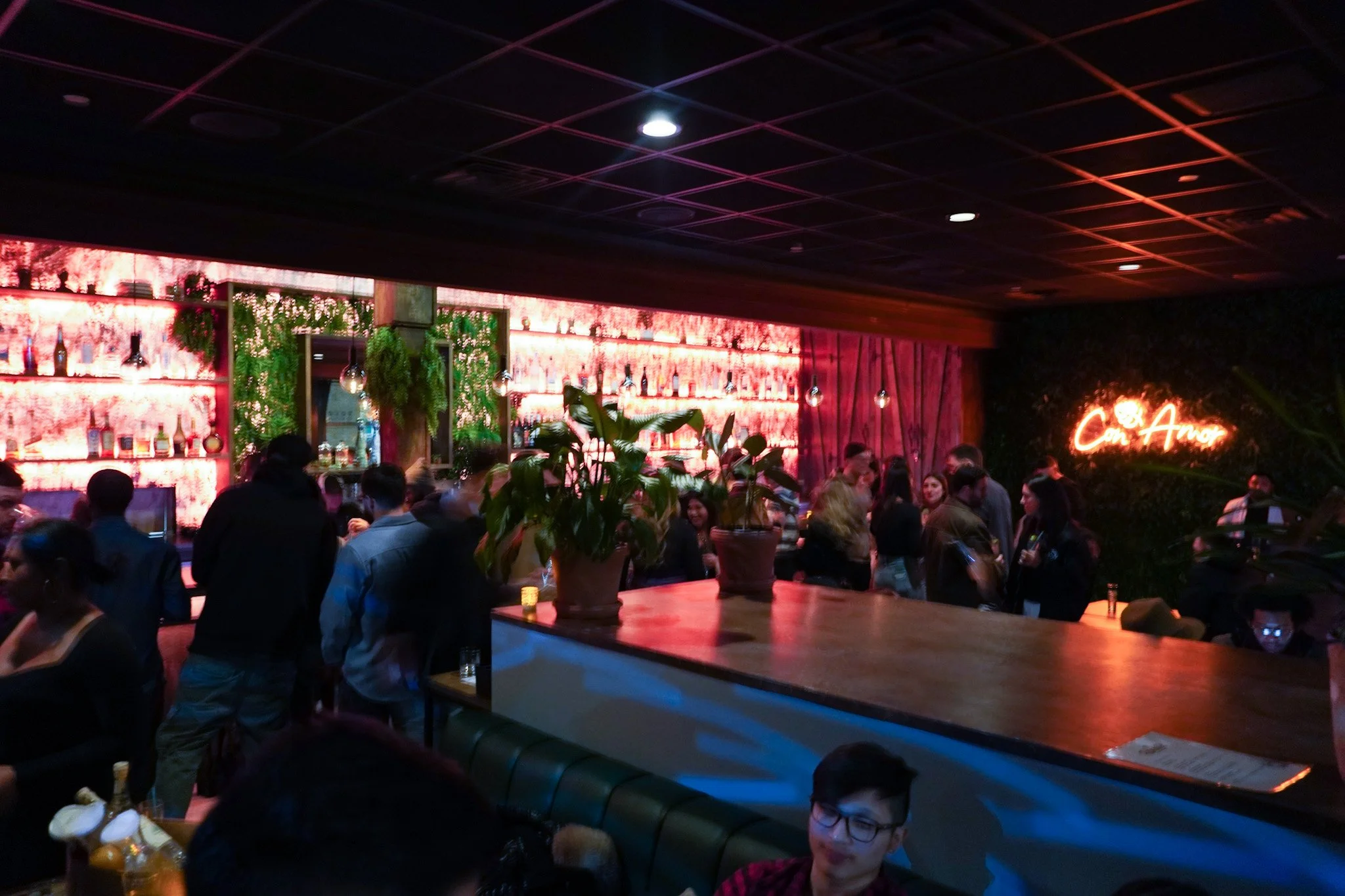 Republic Latin Fusion Peruvian Mexican Colombian Puerto Rican