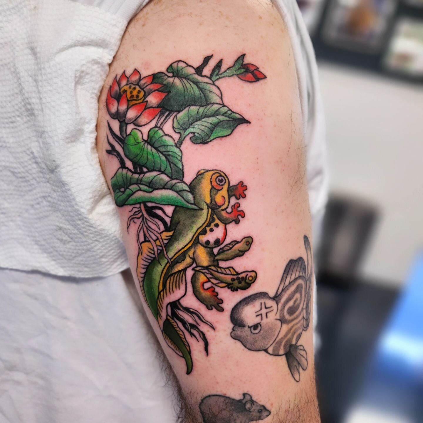 🌿 Baby Frog for Roy! 🐸 
I love getting to do more American Trad designs lately! Bring em on or walk in and pick from our book!
DM to book or questions 😊
.
.
.
.
.
.
#americantraditionaltattoo #americantraditional #americantraditionalflash #tattoo 