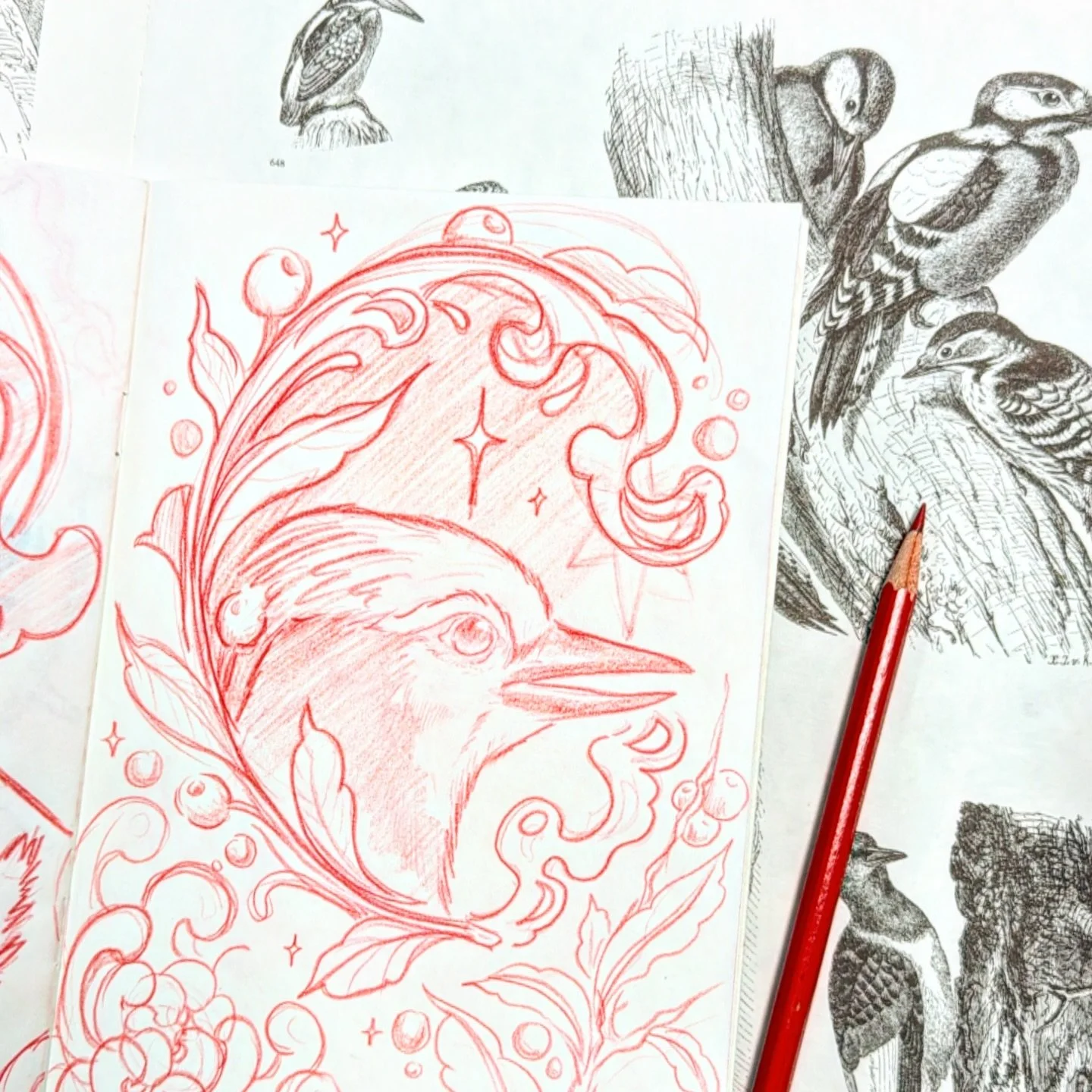 Handdrawn BlueJay design Available 🐦🪺
Message me to claim or book

Want to talk about a custom piece for yourself?
DM me or book a consultation with me in person to make something awesome for you!

#atlanta #tattooflash #birdtattoo