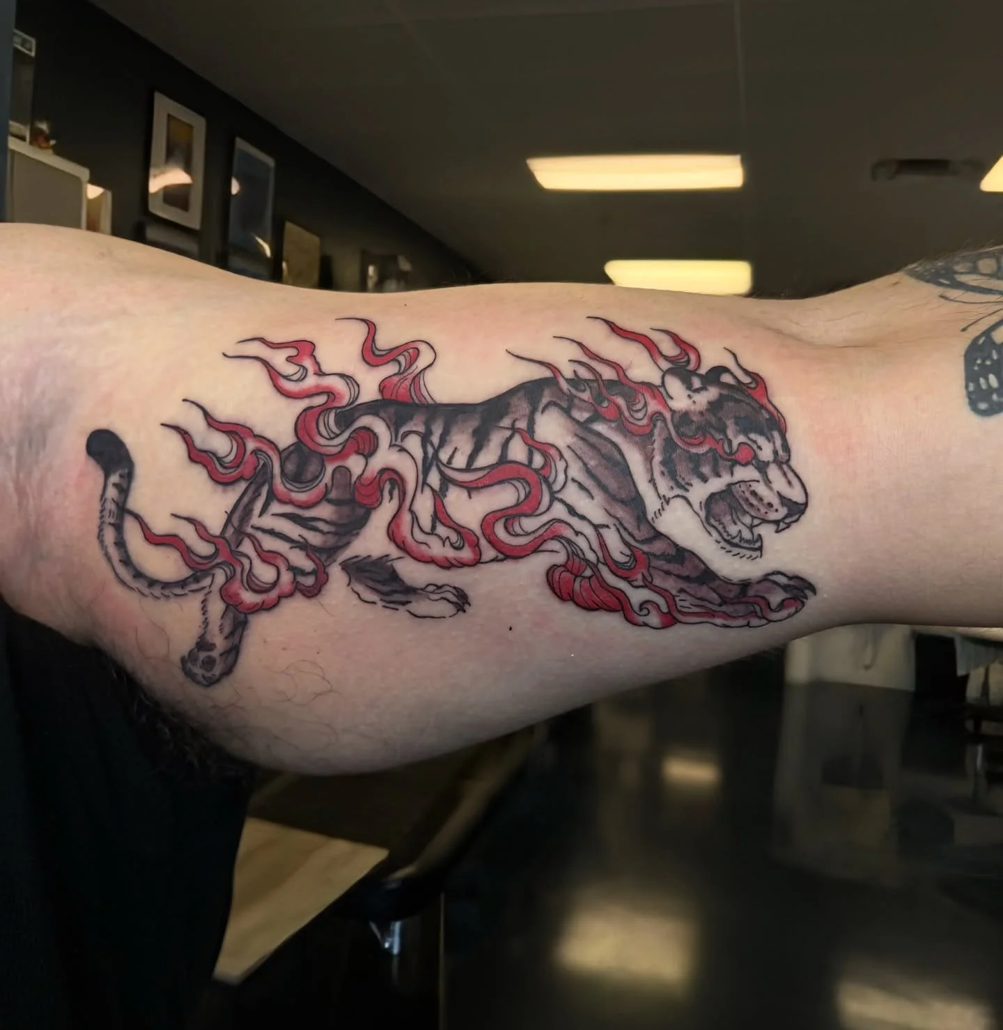 One of my tigers got a home with Chase today 🐅 He sat like a rock 🪨 and I&rsquo;m so happy I got to do one of my designs!☺️ 
I have availability this Thursday(2/5) and Friday(2/6) by the way. DM me to get your appointment set up ✨