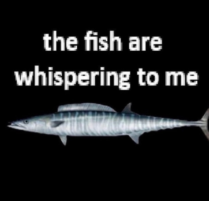 Fish On flash!!
Believe it or not, I adore fishing. It&rsquo;s my favorite hobby. The sweet smell of the Bass Pro Shop tackle aisles are my weakness.
I am one with the fish. The fish love me and fear me.
Anyways, I&rsquo;d love to do these in color o