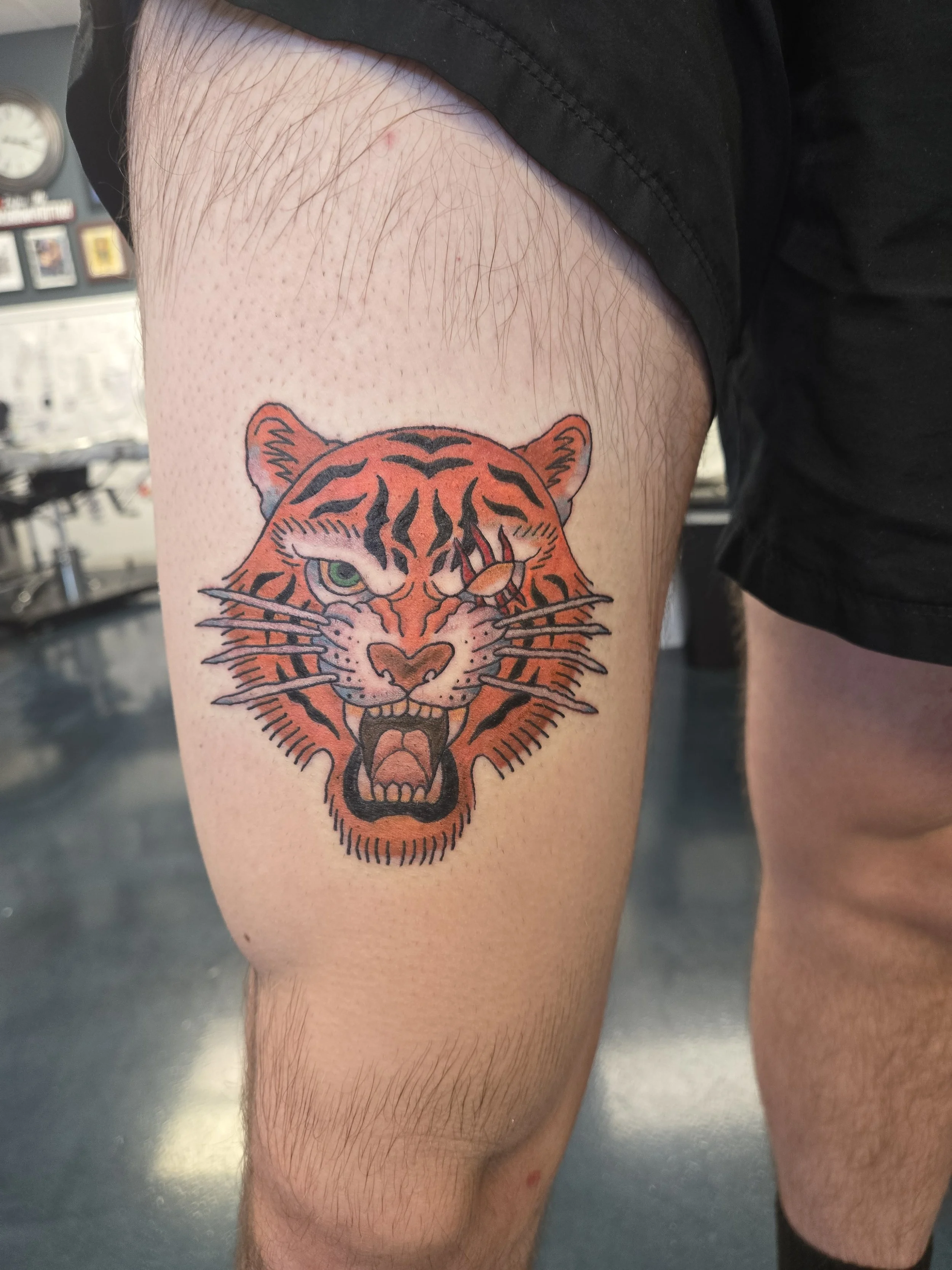 Matt-Page-Tiger.jpg