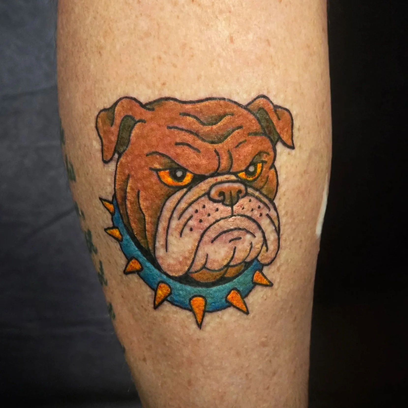 matt-page-bulldog