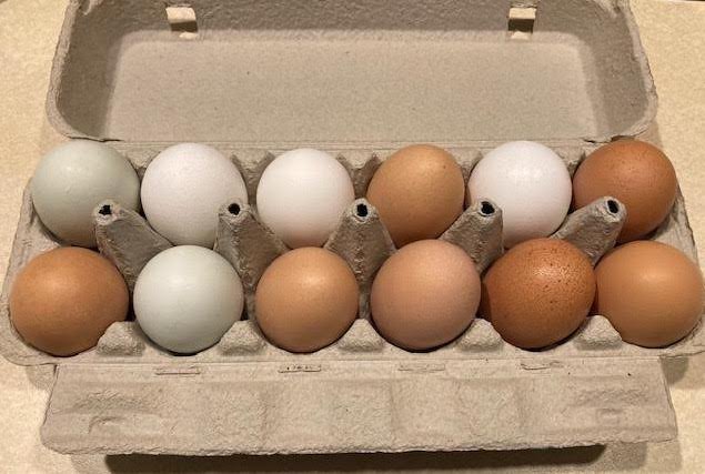 eggs l&s.jpg