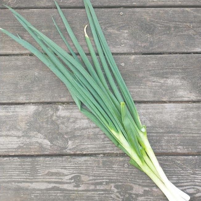 green+onions.jpg