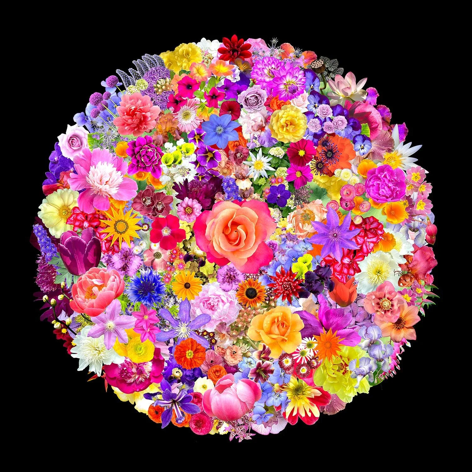 03 Abundance Mandala.jpg