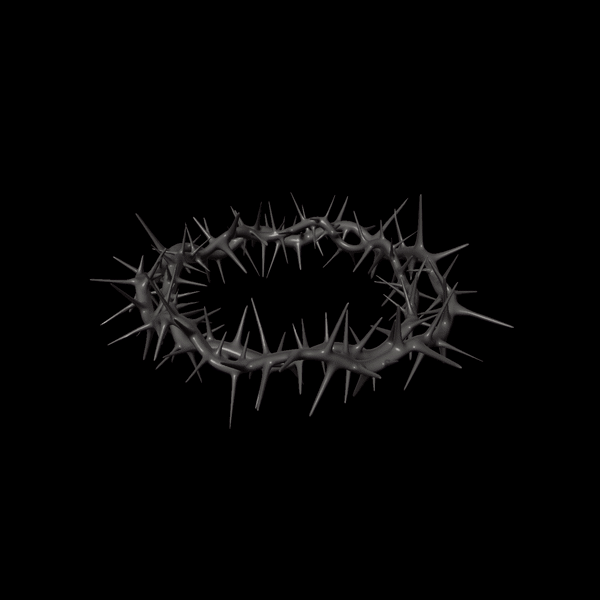 ezgif.com-gif-maker.gif