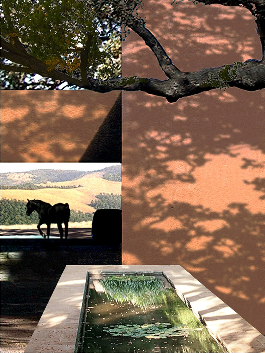 Horse ranch main entry showing stone watering trough .jpg