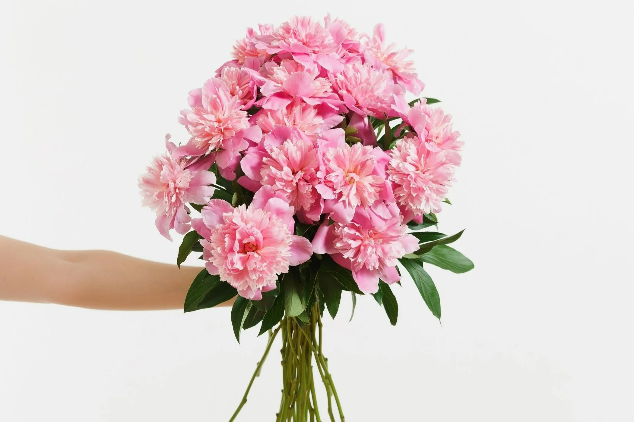 flower%2Blong.jpg
