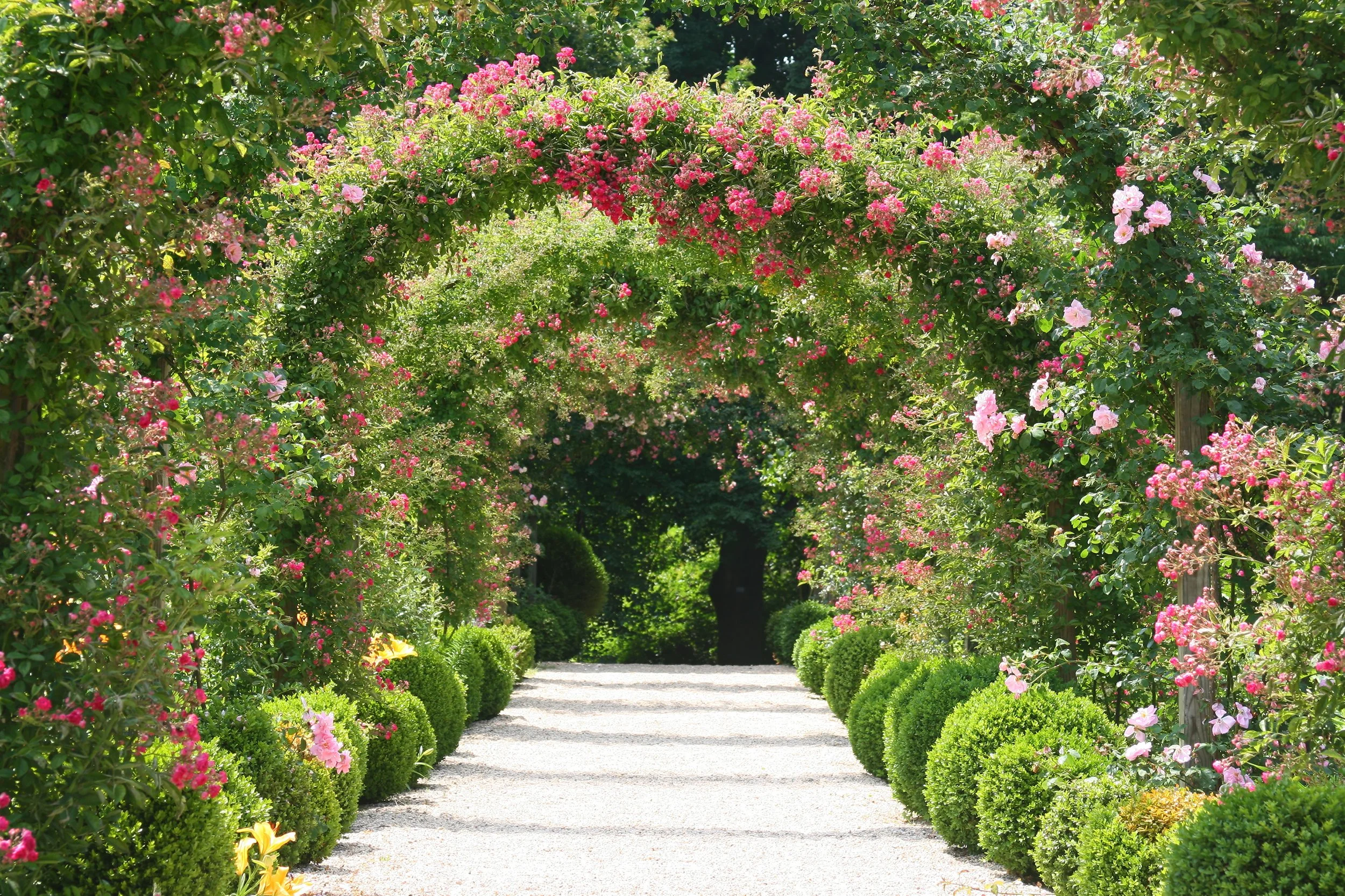 Flower Arch.jpg