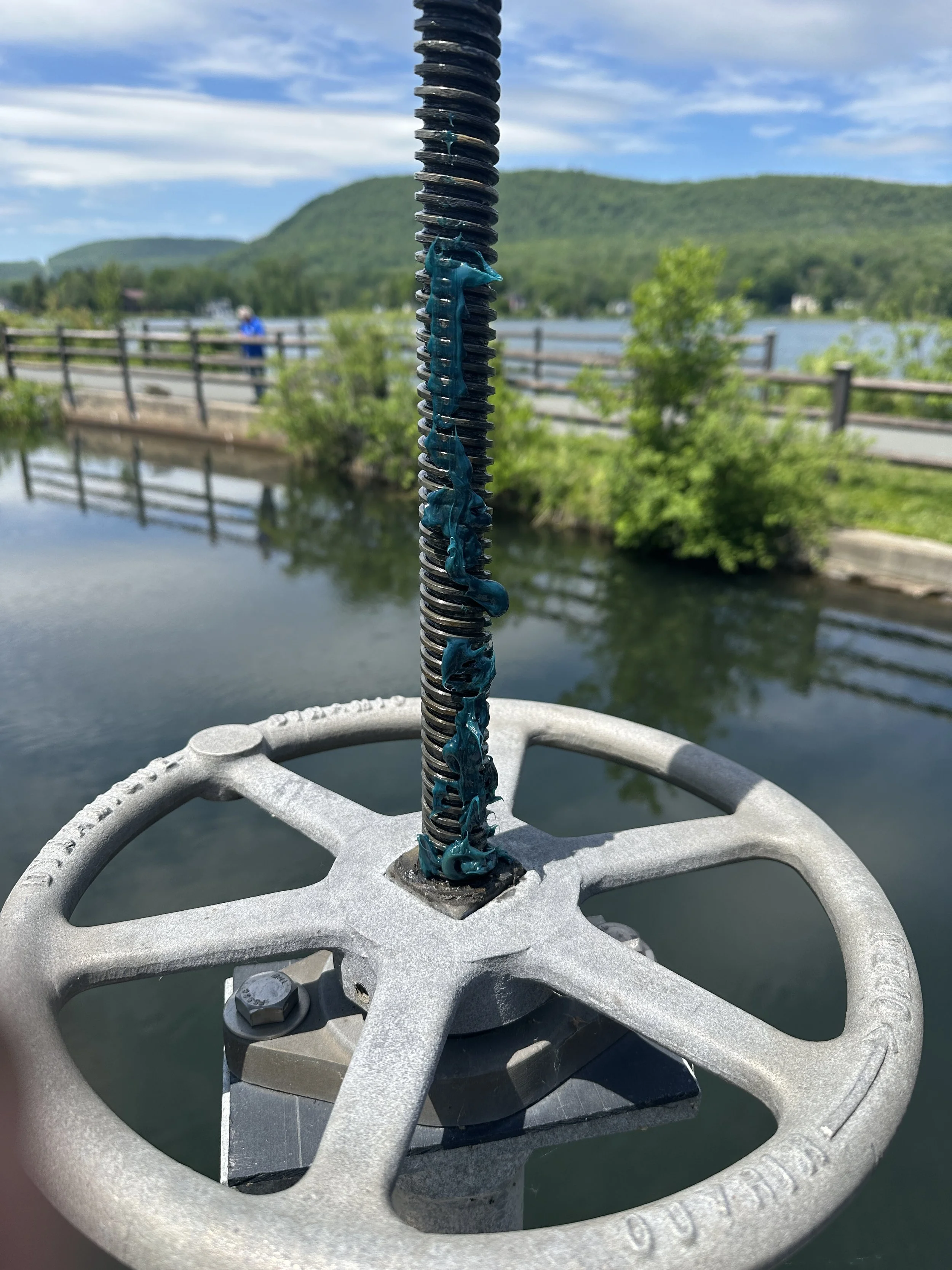 Wheel.JPG