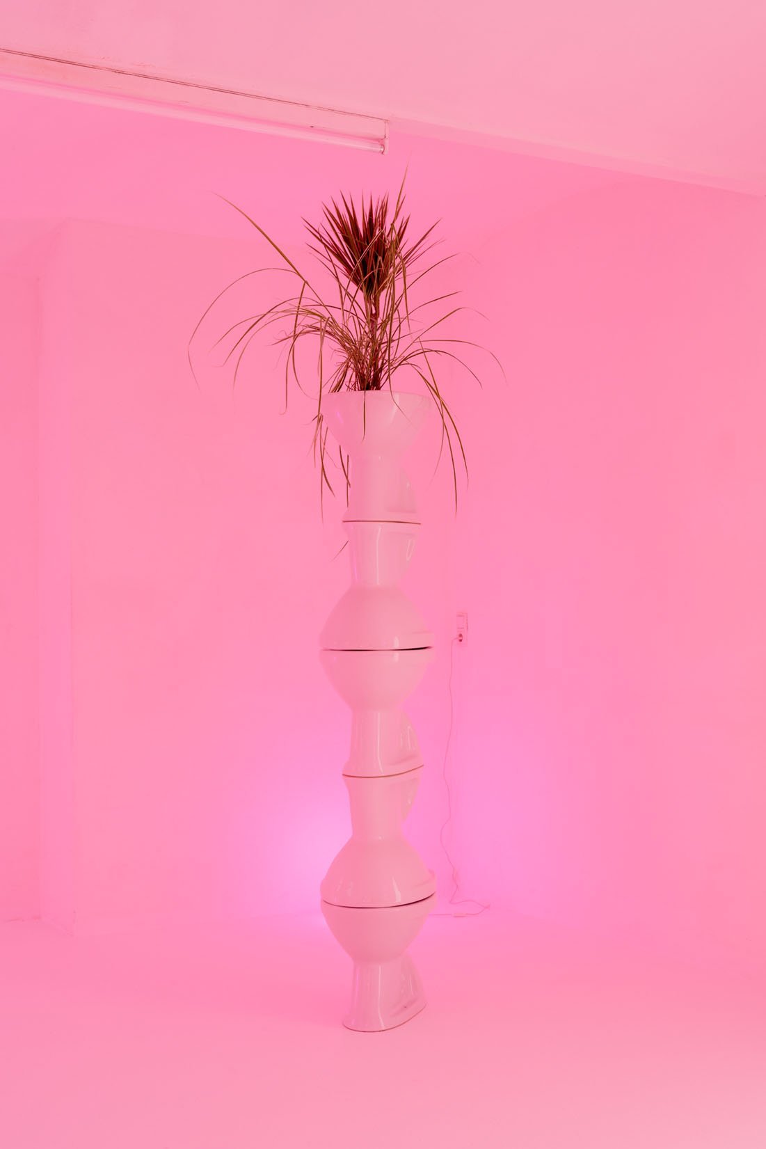 08-Some-Place-Studio_Green-Brush_-Simon-Veres.jpeg