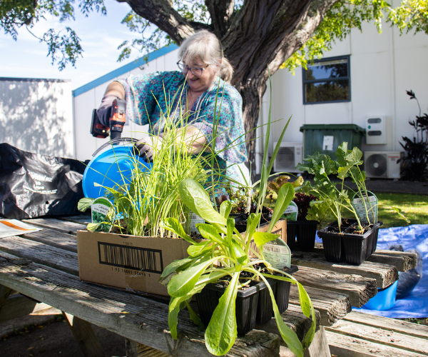 Budget-Friendly Gardening Programme