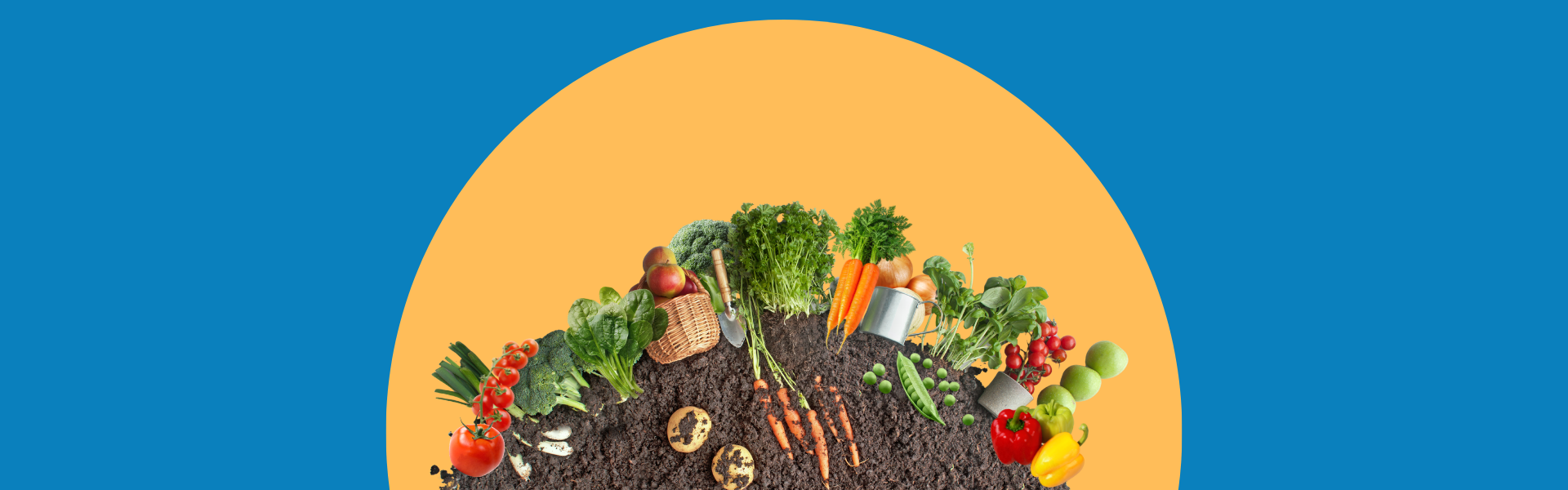 Budget Friendly Gardening Workshop