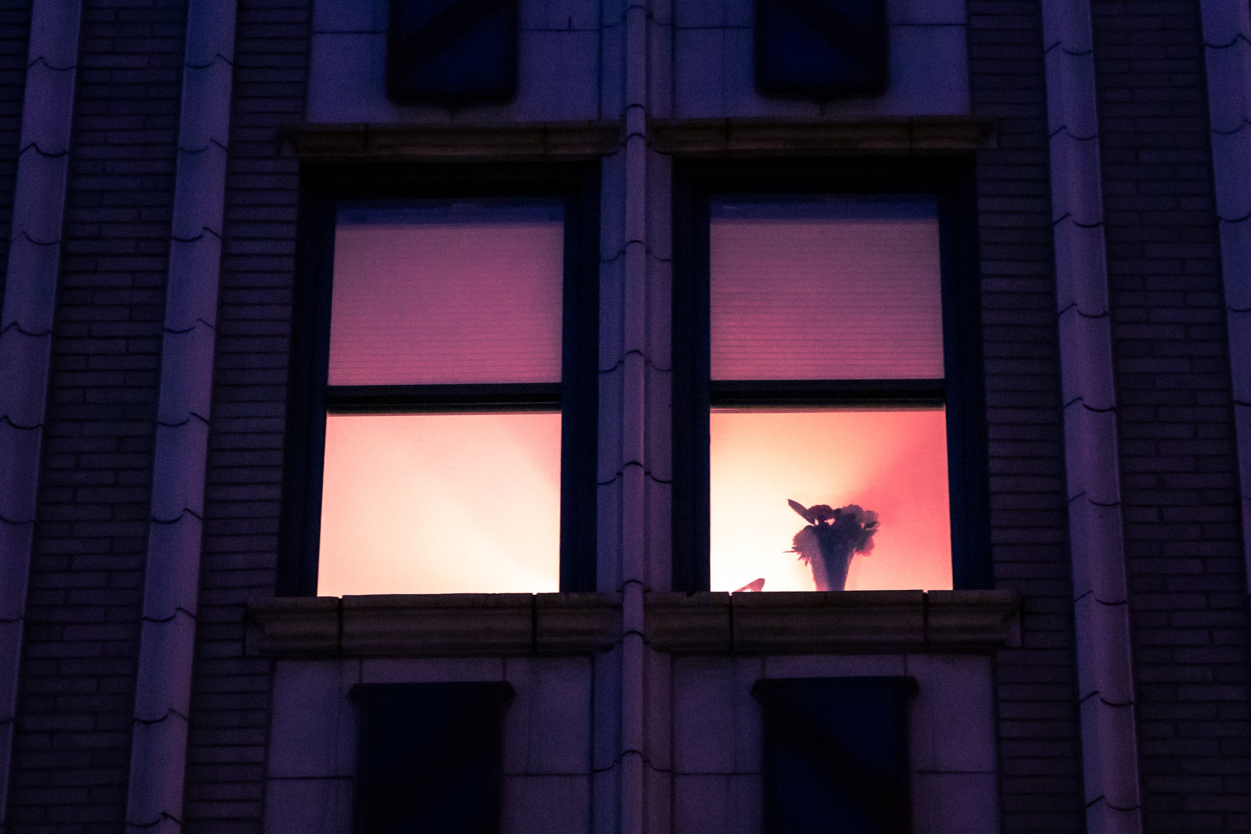 026.jpeg