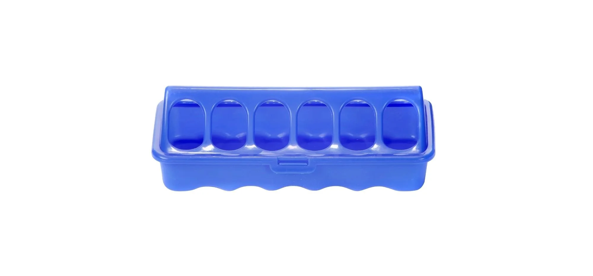 Small Plastic Ground Feeder