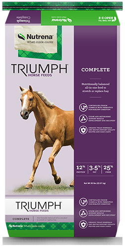 Triumph Complete