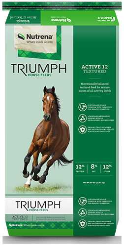 Triumph Active 12% Textured