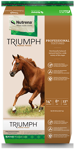 Triumph Professional Textured