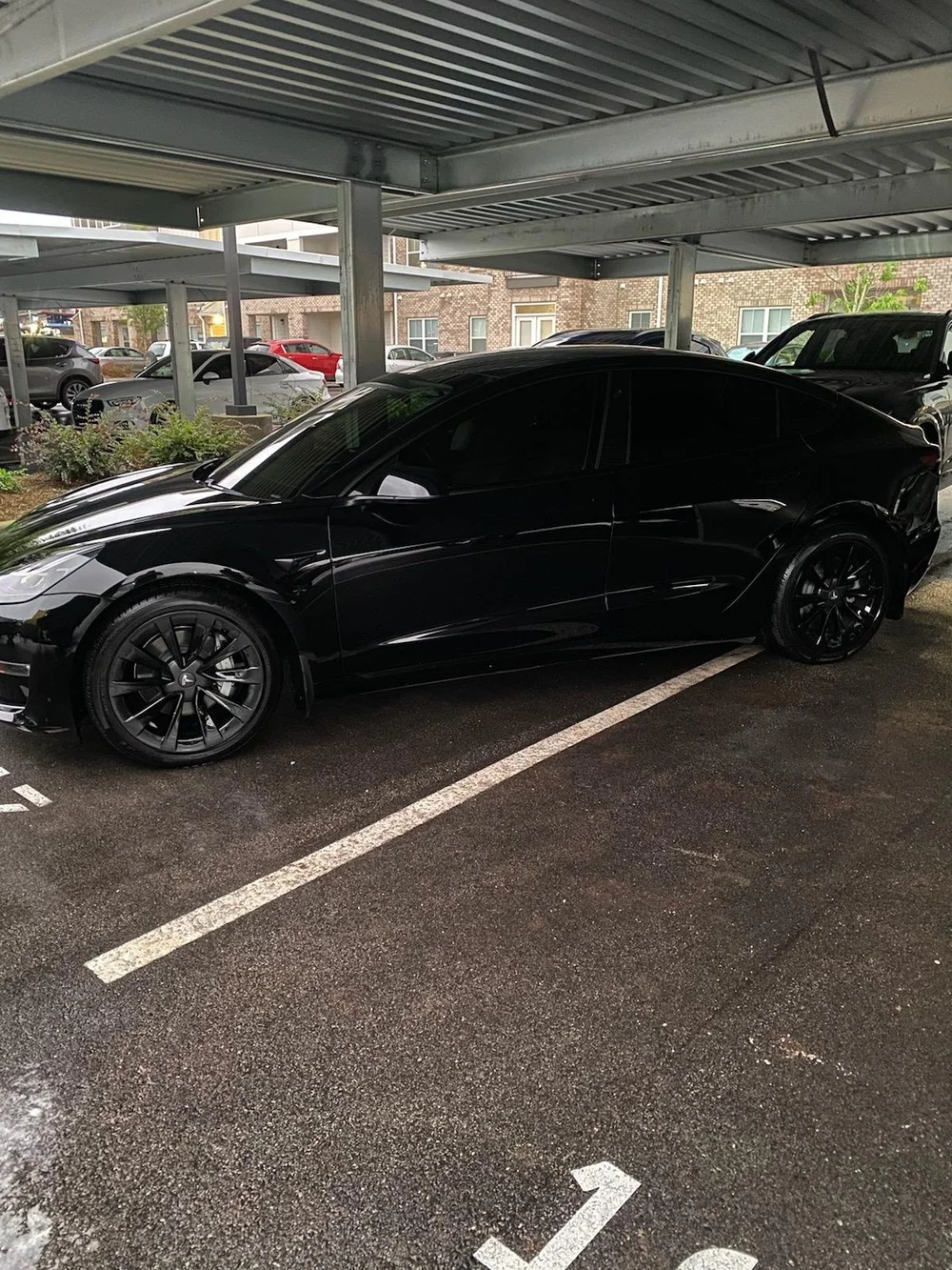 LLumar Paint Protection Film and Window Tint — Stanley's Detailing