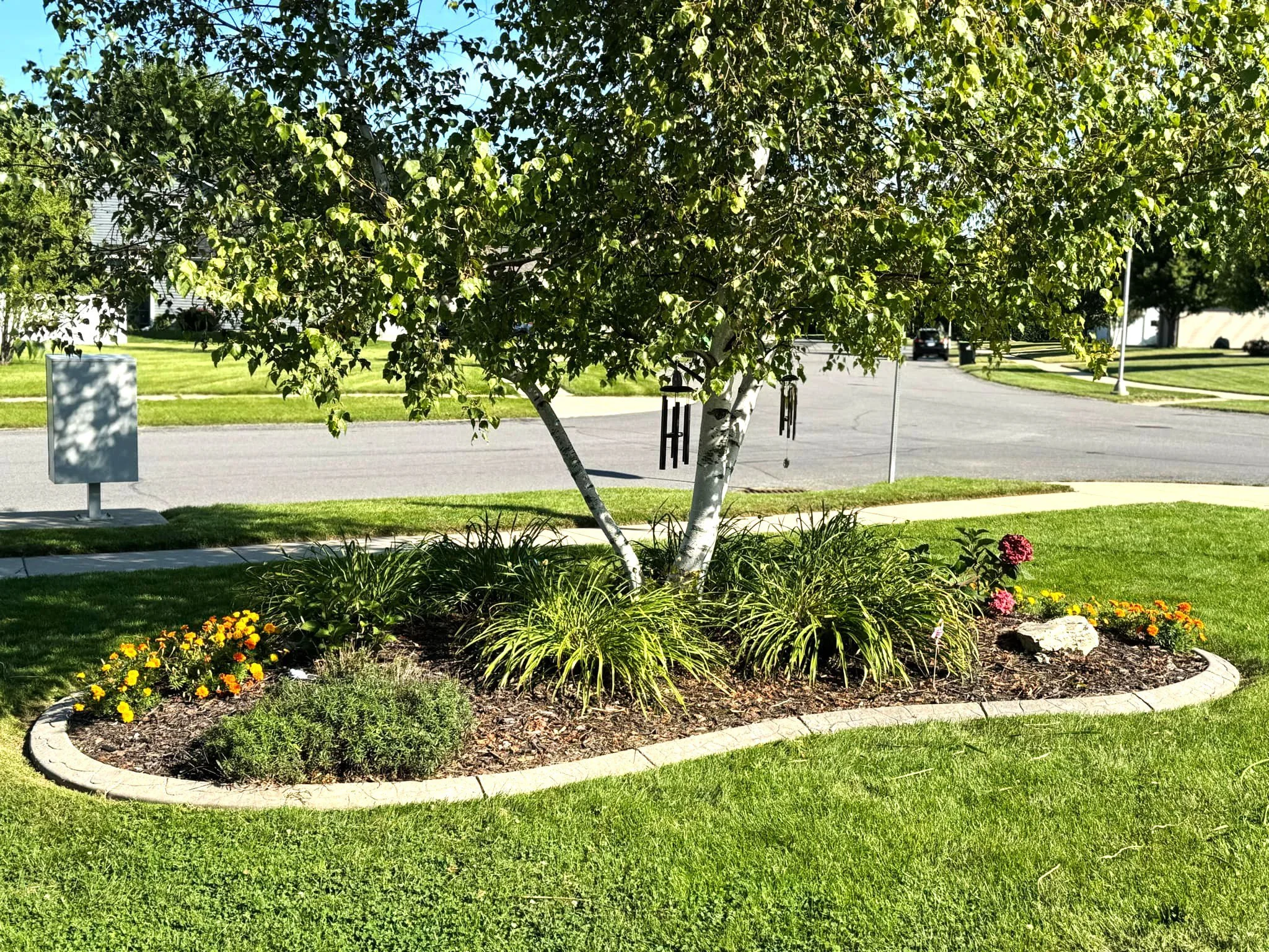 ee365916-3312-4042-b560-c029313724a1.jpg