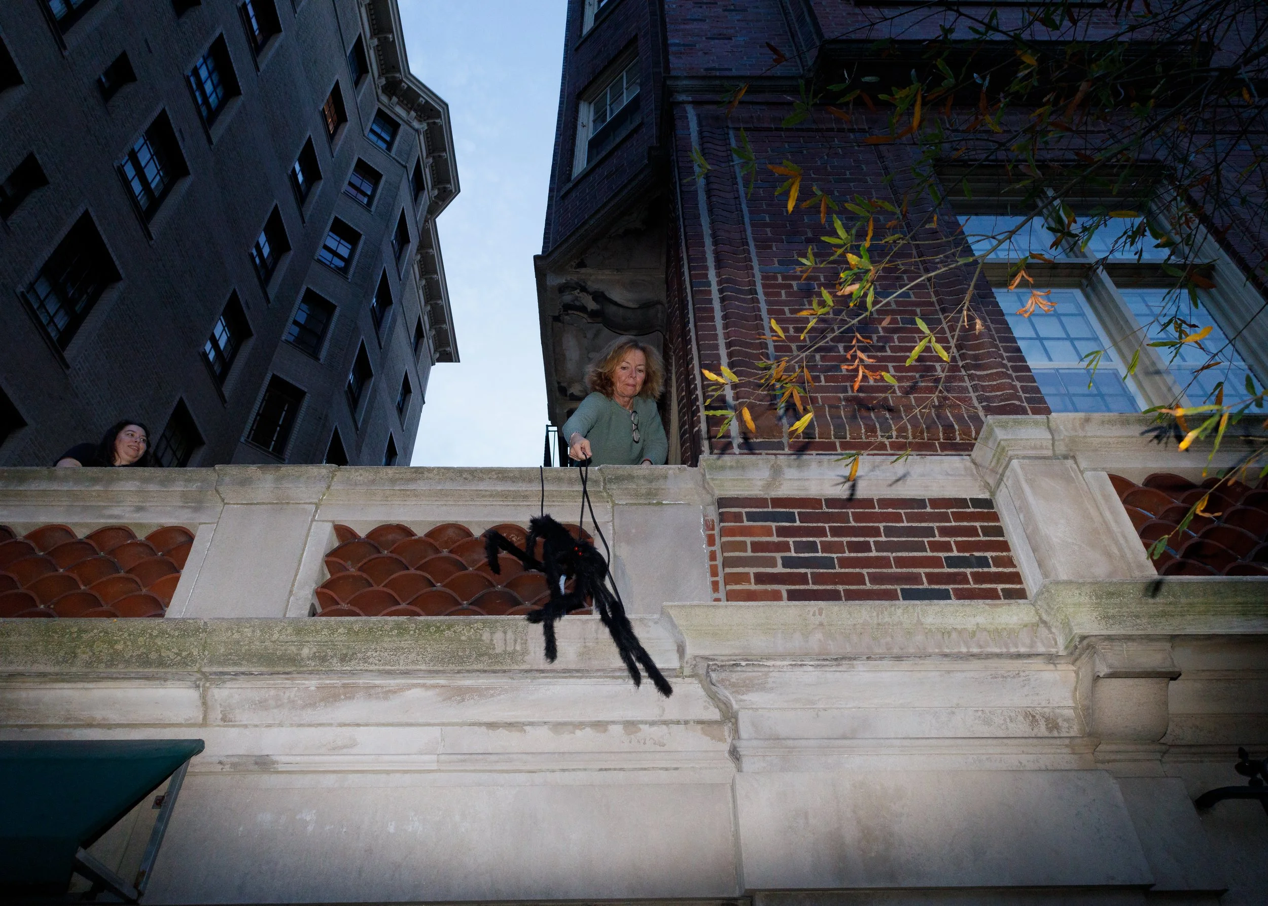 Boston, MA: October 31st, 2024: A woman on Charles Street drops a prop spider on to passing trick-or-treaters on Halloween.