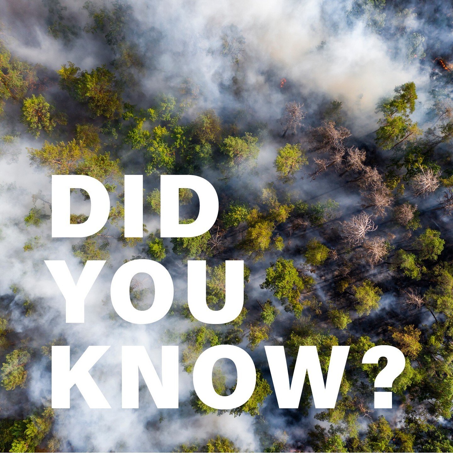 🔥 Did you know it&rsquo;s National Wildfire Awareness Month? 🔥 If you live in an area that&rsquo;s known to have wildfires, consider reading these tips from the USDA (link in bio 👆🏼). Get a quote on #FireInsurance today.
#WildFire #InsuranceAgenc